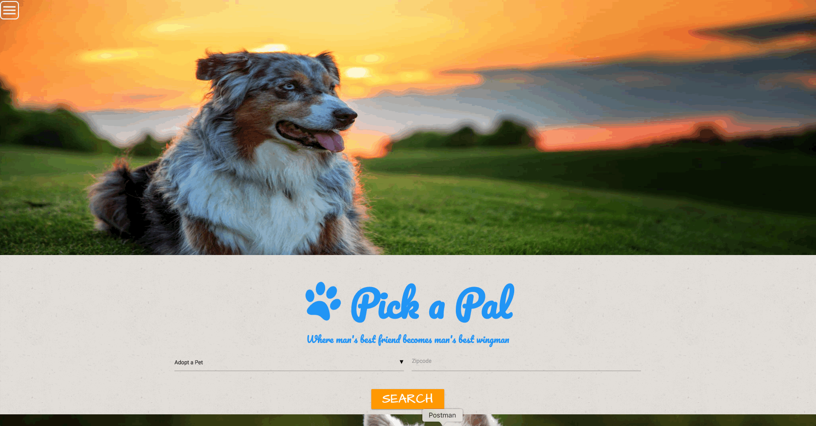 Gif of Pet Finder Site