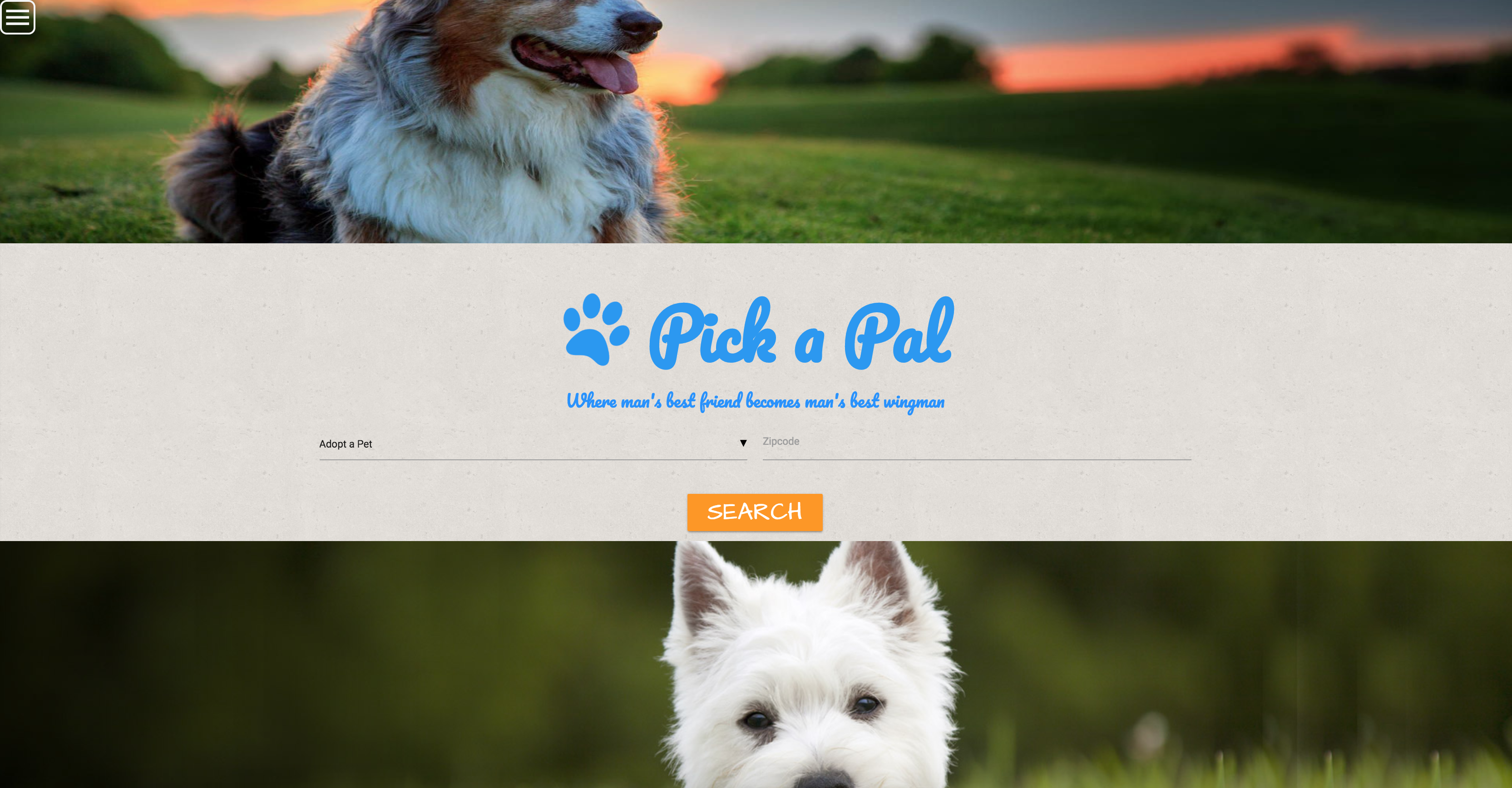 Screenshot of Pet Finder Site
